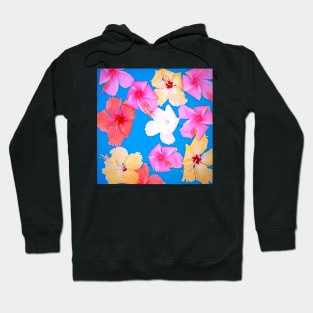 Colorful Hibiscus Floating in a Pool Hoodie